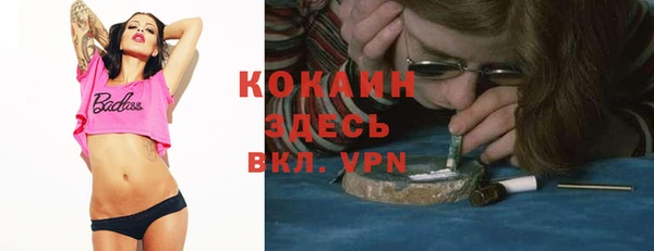 молекула духа Инта