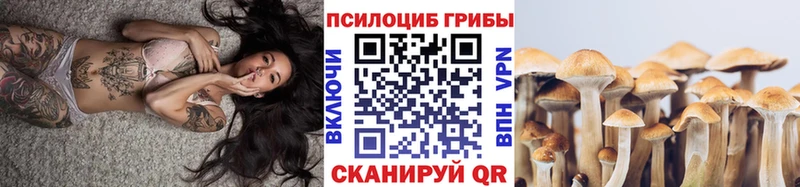 Купить закладки  Гагарин  Галлюциногенные грибы ЛСД 